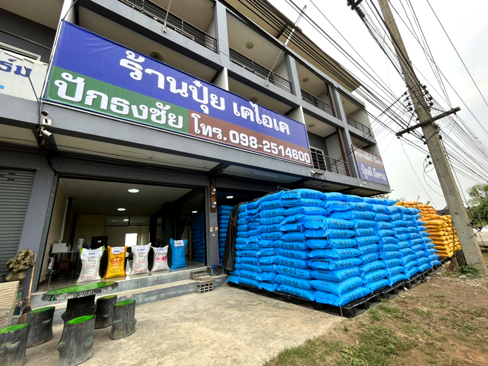 ptnew03