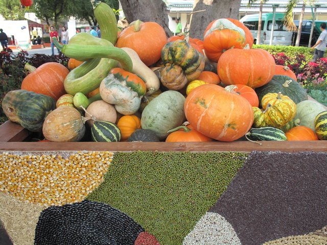 IMG_1945_resize
