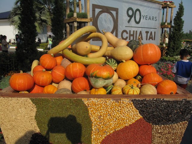 IMG_1946_resize