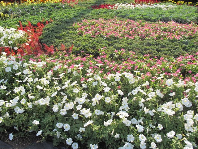 IMG_1947_resize